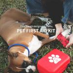 Complete Pet First Aid Kit - 101 Essential Items