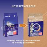 Purina One Salmon & Wholegrain Dry Cat Food
