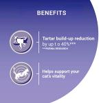 Purina One Salmon & Wholegrain Dry Cat Food