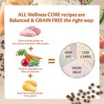 Wellness CORE Grain-Free Dry Cat Food 4kg