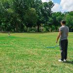 Hi Kiss 30ft Dog Training Lead for Recall