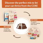Wellness CORE Grain-Free Dry Cat Food 4kg