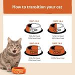 Wellness CORE Grain-Free Dry Cat Food 4kg