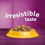Whiskas 7+ Senior Chicken Dry Cat Food Bags