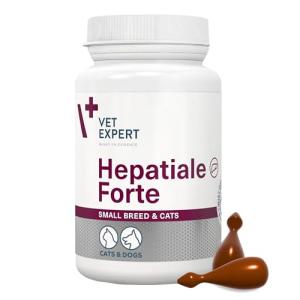 Hepatiale Forte Liver Support for Cats & Small Dogs
