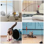 Interactive Cat Toy with 5 Feather Accessories