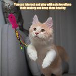 Interactive Cat Toy with 5 Feather Accessories