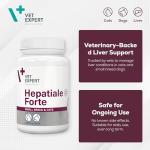Hepatiale Forte Liver Support for Cats & Small Dogs