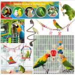11 Pack Colorful Chew Toys for Birds