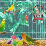 11 Pack Colorful Chew Toys for Birds