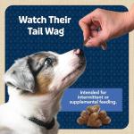 Blue Buffalo Soft Dog Training Treats, Chicken Flavor