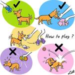 CHIWAVA 4-Pack Squeaky Latex Puppy Toys
