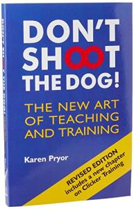 Dog Training Tips: Teach with Positive Methods