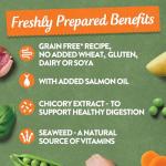 Harringtons Grain-Free Hypoallergenic Dog Food Pack