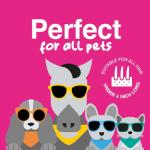 Gentle & Effective Deshedding Brush for Pets