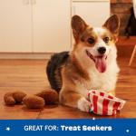 Barkbox Interactive Plush Dog Toy - Fried Licken