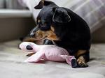 Eco-Friendly Plush Flamingo Dog Toy with Squeaker