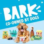 Barkbox Interactive Plush Dog Toy - Fried Licken