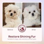 Pet Cleaning Deodorizing Wipes for Dogs & Cats