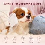 Pet Cleaning Deodorizing Wipes for Dogs & Cats