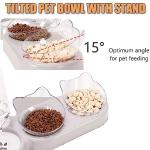 3-In-1 Cat Bowl Set with Water Dispenser