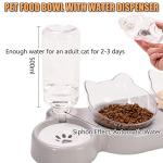 3-In-1 Cat Bowl Set with Water Dispenser