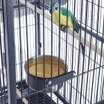 Large Black Bird Cage with Rolling Stand