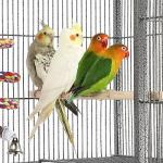 Yaheetech Large Parrot Cage with Detachable Stand