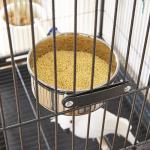 Large Black Bird Cage with Rolling Stand