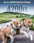 Jugbow Waterproof Dog Training Collar for Two Dogs
