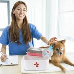 Pet First Aid Kit for Dogs and Cats