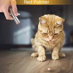 7-in-1 Rechargeable Interactive Cat Toy Wand