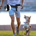 3-in-1 Dog Treat Pouch with Clicker Set