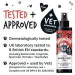 Bugalugs Cat Wound & Skin Antiseptic Spray