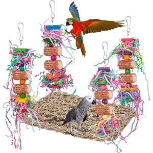 Colorful Parrot Chewing and Swinging Toy