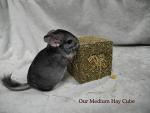 Rosewood Naturals Forage Cube Treat for Small Pets