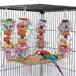 Colorful Parrot Chewing and Swinging Toy