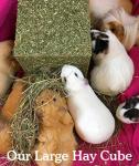 Rosewood Naturals Forage Cube Treat for Small Pets