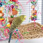 Colorful Parrot Chewing and Swinging Toy