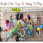 Colorful Chew and Forage Toys for Birds