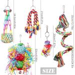 Colorful Chew and Forage Toys for Birds