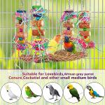 Colorful Parrot Chewing and Swinging Toy