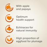 Beaphar XtraVital Canary Food with Vitamins & Minerals