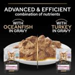Pro Plan Mixed Variety Gravy Cat Food 40x85g