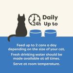 Applaws Natural Wet Cat Food, Fish Jelly 70g