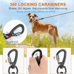 Durable 10M Reflective Dog Training Lead