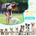 Extra Long Nylon Dog Training Leash 30m