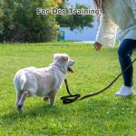 Extra Long Nylon Dog Training Leash 30m