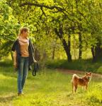 Durable 10M Reflective Dog Training Lead