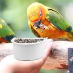 D-Shaped Hanging Bird Feeding Bowls - 2 Pack